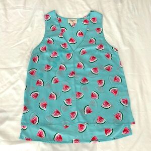 Everly sleeveless v neck watermelon print tank top